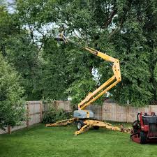 Best Grass Overseeding  in Cumberland, KY