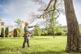 Best Tree Trimming and Pruning  in Cumberland, KY