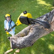  Cumberland, KY Tree Services Pros