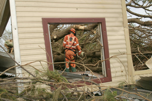 Cumberland, KY Tree Services Company